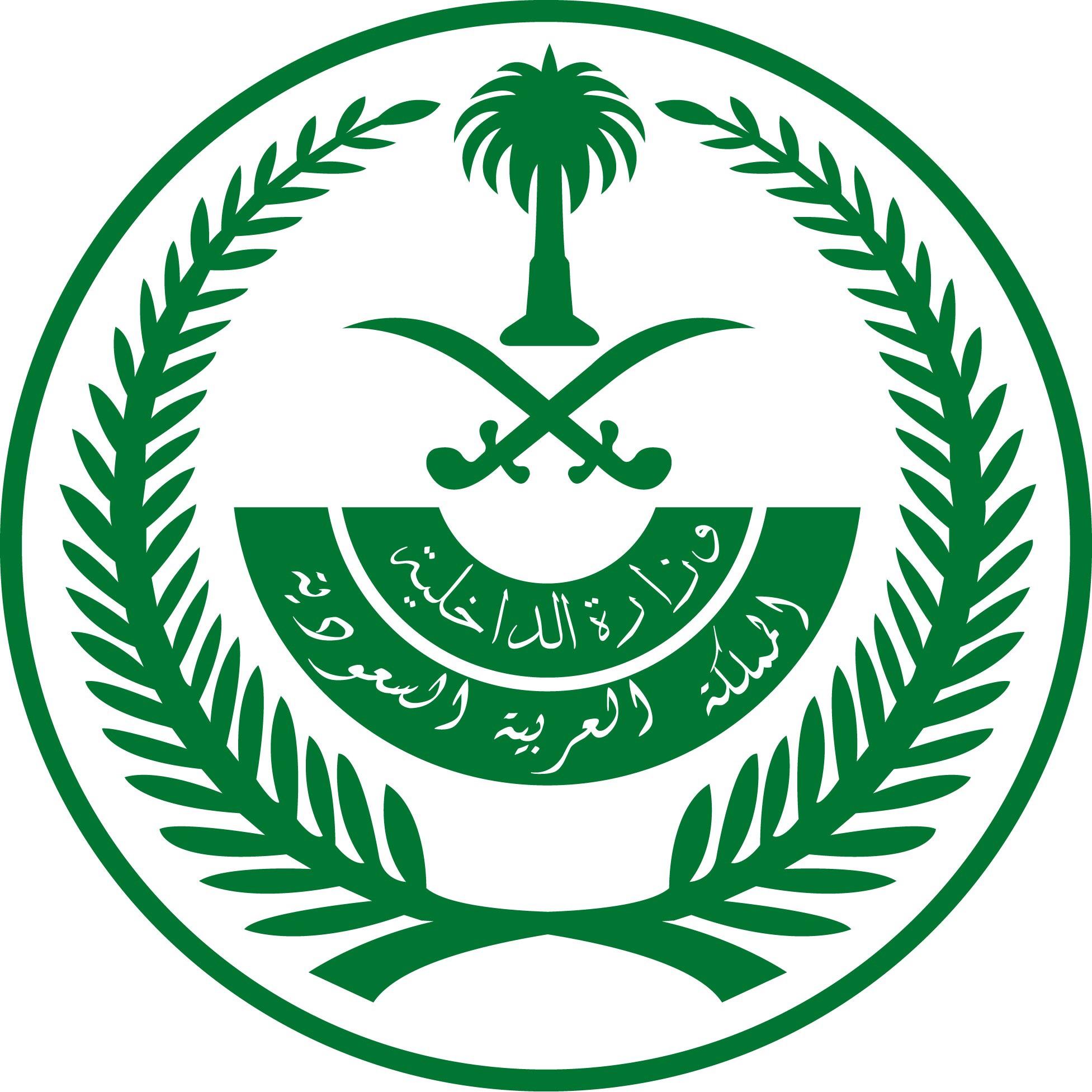 في بيان توضيحي..الداخلية السعودية: التحقيقات الأولية بشأن حادثة "فلاي دبي" تمت بمشاركة الإمارات