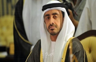 وزير خارجية الإمارات يحدد شرط دعم "اليوم التالي" لحرب غزة