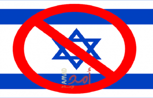 ناشطون يطلبون من سكان برايتون البريطانية مقاطعة إسرائيل- فيديو