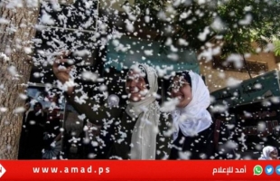 باستثناء طلبة قطاع غزة.. التربية: نتائج الثانوية العامة يوم الاثنين المقبل