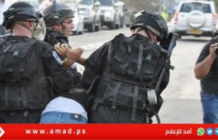 بالأسماء: قوات الاحتلال تعتقل ثلاثة شبان من محافظة أريحا والأغوار