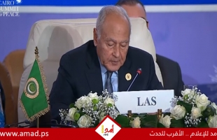 أبو الغيط: قطع علاقات دول عربية مع إسرائيل "ليس حكيما"!