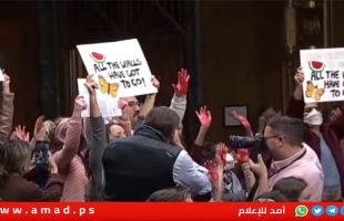 ائتلاف "يهود من أجل وقف تسليح إسرائيل" ينظم احتجاجا داخل الكونغرس 