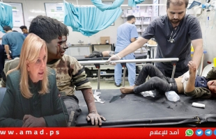 روسيا تندد برفض مديرة اليونيسف تقديم إفادتها في اجتماع بشأن أطفال غزة