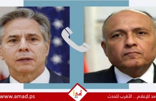 الخارجية المصرية: شكري يطالب بلينكن بضرورة استمرار الضغط على إسرائيل بشأن غزة