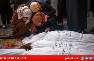 تحقيق: جيش الاحتلال نفذ مجزرة ضد 120 فلسطينيا معظمهم من عائلة واحدة