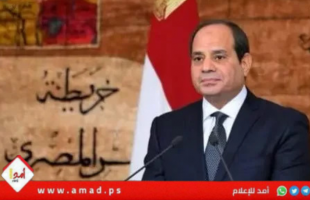 السيسي: نواصل السعي لتثبيت وقف النار في غزة وتنفيذ كافة مراحله