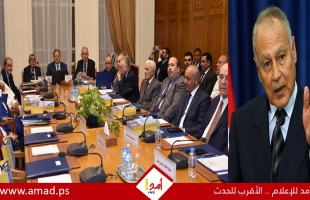 أبو الغيط يدعو مجموعة السلام العربية إلى تكثيف العمل لوقف الحرب الإسرائيلية