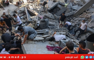 متحدثين في مجلس الأمن يدينون جرائم جيش الاحتلال ضد مدارس قطاع غزة ومقتل موظفيين أمميين