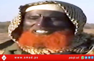 الجيش الأمريكي يستهدف الزعيم العالمي لتنظيم "داعش" في الصومال