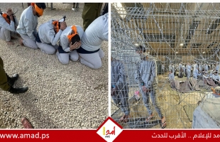 هآرتس: عشرات الغزيين المحتجزين لدى الجيش الإسرائيلي في عداد المفقودين