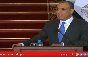 الخارجية المصرية: نكثّف الاتصالات مع الدول العربية للتأكيد على رفض أية إجراءات تستهدف تهجير الشعب الفلسطيني 