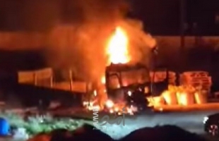 قلقيلية: مستوطنون إرهابيون يحرقون منازل ومنشآت تجارية ومركبات في جينصافوط والفندق