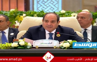 السيسي: الاعتداءات الإسرائيلية تخطت كافة الخطوط الحمراء  - فيديو