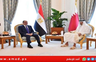 السيسي وتميم  يؤكدان ضرورة دعم الخطة العربية لإعادة إعمار غزة دون تهجير