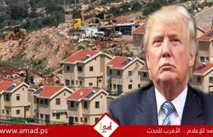 تقرير : عنف وإرهاب المستوطنين تصاعد بعد عودة ترامب الى البيت الأبيض