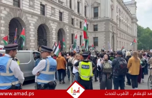 مظاهرة حاشدة أمام الخارجية البريطانية تنديداً بالهجوم الإسرائيلي على سفينة "مادلين" - فيديو