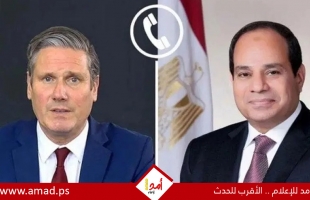 خلال اتصال مع ستارمر..السيسي يحذّر أوروبا من عواقب تهجير الفلسطينيين