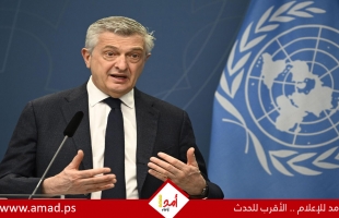 الأمم المتحدة: الطعن في حق اللجوء "خطأ كارثي"