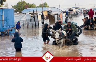 أبو الغيط: إعادة مجتمع غزة إلى الحياة الطبيعية تُعد الواجب الاجتماعي الأَوْلى