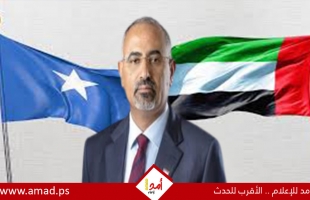 الصومال يحظر الطيران العسكري الإماراتي من أجوائه عقب "تهريب" الزبيدي