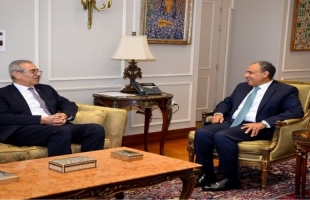 وزير خارجية مصر يدعو لبدء عمل لجنة إدارة غزة من الداخل