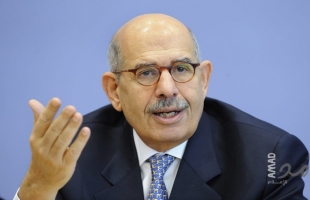 البرادعي يناشد حكومات الخليج التحرك أن يقوم "المعتوه بتحويل المنطقة إلى كرة لهب"