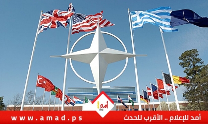 مفوض أوروبي: سيطرة أمريكا على غرينلاند تعني نهاية الناتو