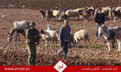 إدانات فلسطينية رسمية وعربية واسعة لتصاعد اعتداءات المستوطنين في الضفة