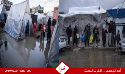 غزة: إصابات بين النازحين في تل الهوى.. وعشرة أسرى محررين يصلون بحالة صحية صعبة