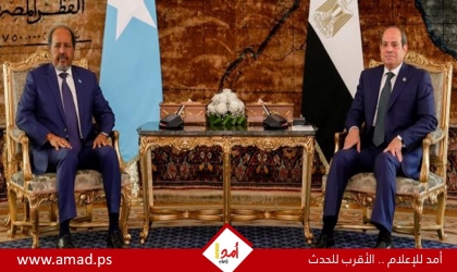 السيسي يحذر من المساس بسيادة الصومال: "سابقة خطيرة تهدد استقرار المنطقة برمتها"