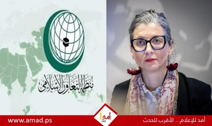 "التعاون الإسلامي": استهداف المقررة الخاصة لـفلسطين محاولة بائسة لتقويض مجلس حقوق الإنسان