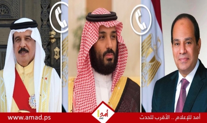 السيسي: أمن السعودية والبحرين خط أحمر .. وسيادة الدول العربية "مقدسة" ولا نقبل المساس بها
