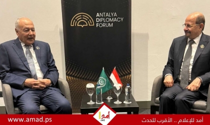 أبو الغيط يشيد بصمود اليمن بعيداً عن الصراعات الإقليمية