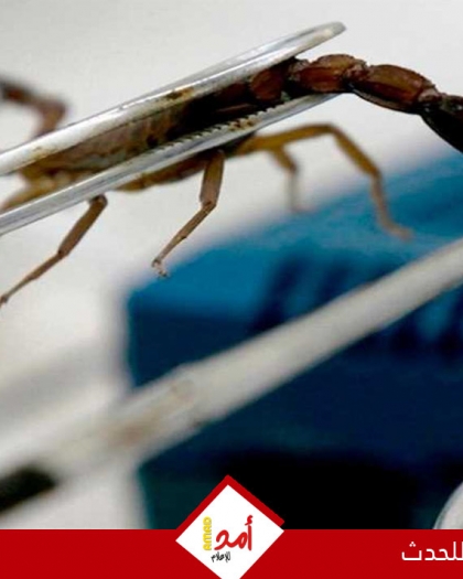 سم العقرب.. أمل واعد في مواجهة سرطان قاتل يصيب النساء