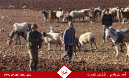 جيش الاحتلال يحذر نتنياهو من خروج الضفة عن السيطرة بسبب عنف المستوطنين