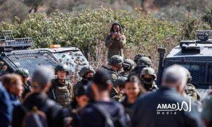 جيش الاحتلال يعتقل مرشح للكونغرس و80 متطوعاً دولياً خلال مشاركتهم في قطف الزيتون بالضفة الغربية